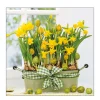 Ambiente Papierservietten, Narzissen, 33x33cm