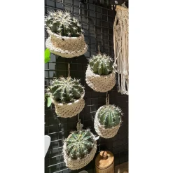 Deko Korb Boho gehäckelt, Makramee-Korb mit Schlaufe, 16x13cm