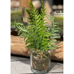 Deko Kunstpflanze Farn, Farn mit Erdballen im Glas, Farn wie echt