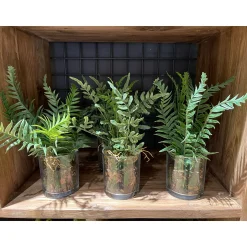 Deko Kunstpflanze Farn, Farn mit Erdballen im Glas, Farn wie echt