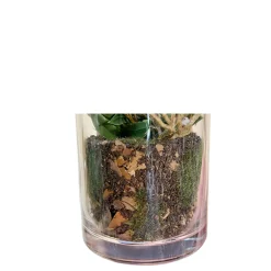 Deko Kunstpflanze Farn, Farn mit Erdballen im Glas, Farn wie echt