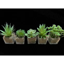 Deko Kunstpflanze Sukkulente im im Glas, Sukkulente wie echt, Sukkulente im Erdballen