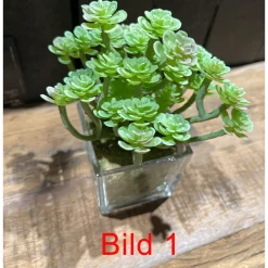 Deko Kunstpflanze Sukkulente im im Glas, Sukkulente wie echt, Sukkulente im Erdballen