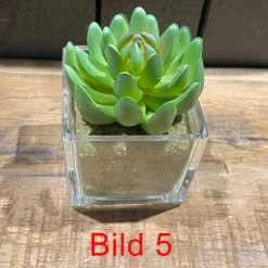 Deko Kunstpflanze Sukkulente im im Glas, Sukkulente wie echt, Sukkulente im Erdballen