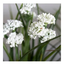 Deko Kunstpflanze Wiesenblume, Wiesenblumen weiß mit Erdballen, 22cm, DPI GmbH