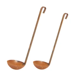 Deko Pflanztopf Kelle, Pflanzkelle, Vogeltränke, 52cm, Edelrost, Gerrys Garden