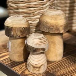 Deko Pilz Naturholz, Holzpilz Natur mit runder Kappe, 6x10cm, DIJK Natural Collections