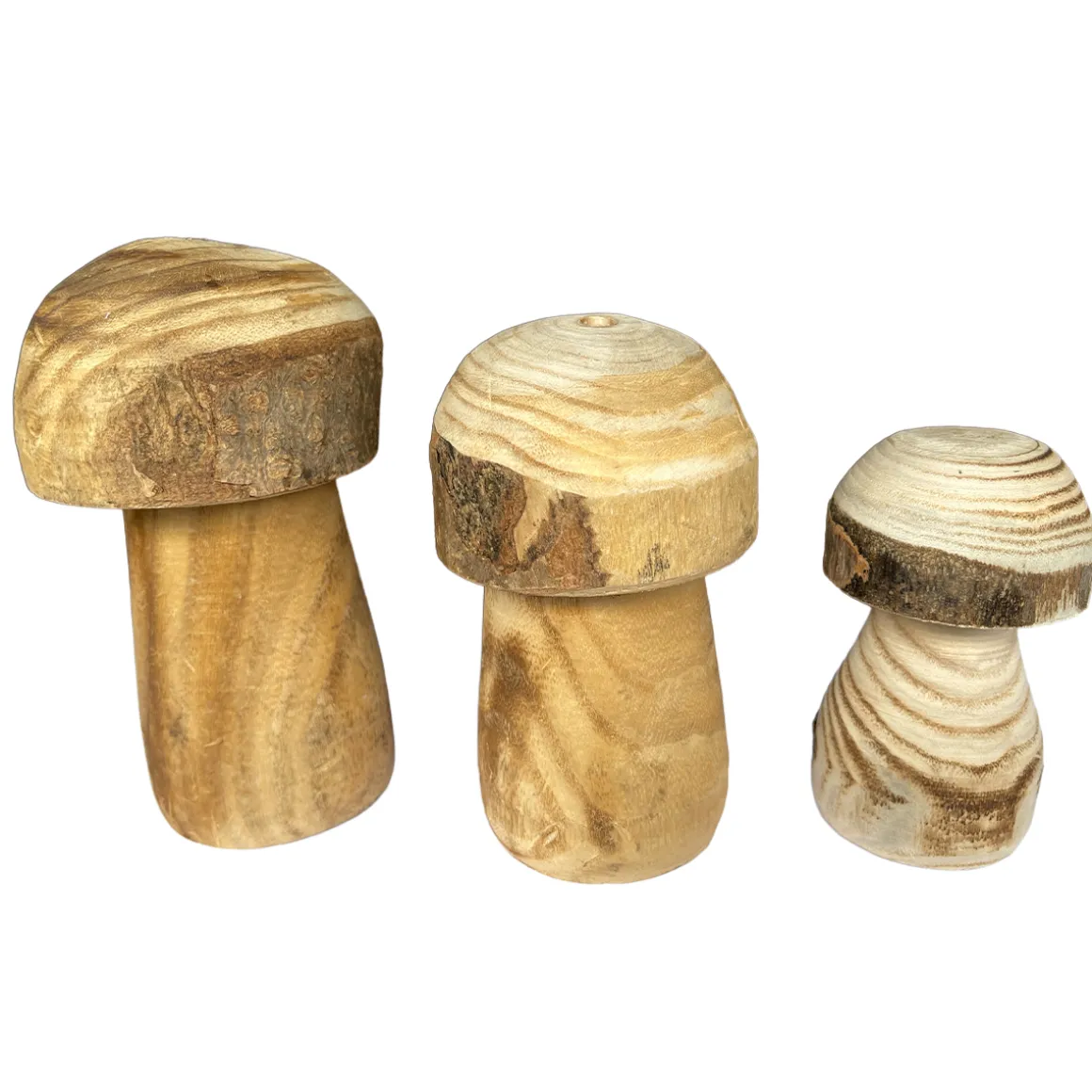Deko Pilz Naturholz, Holzpilz Natur mit runder Kappe, 19x15cm, DIJK Natural Collections