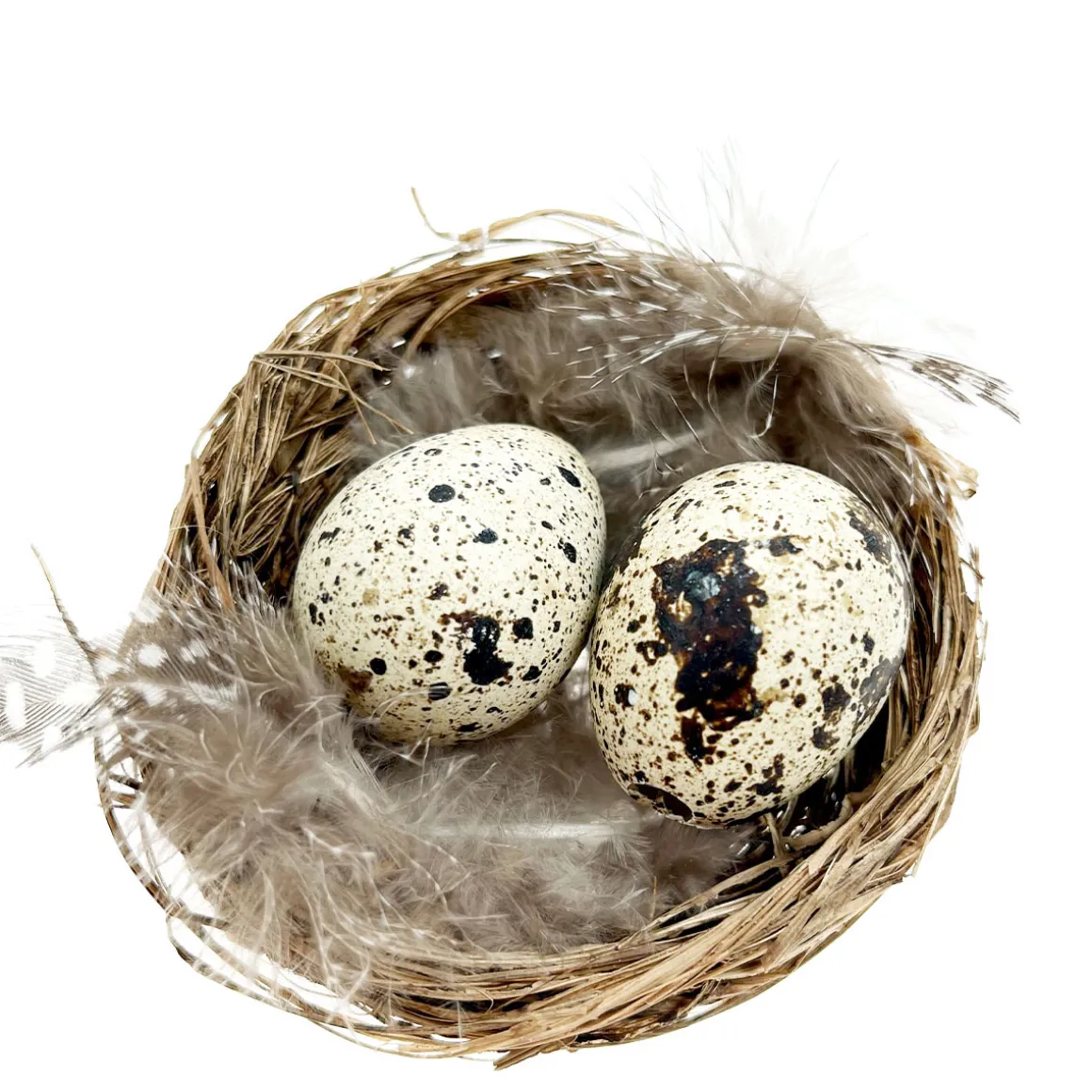 Deko Vogelnest Natur, kleines Weidennest mit Wachteleier und Federn, Ø6cm