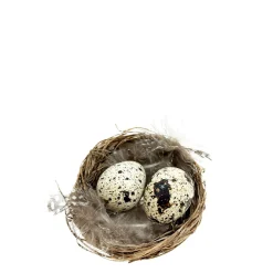 Deko Vogelnest Natur, kleines Weidennest mit Wachteleier und Federn, Ø6cm