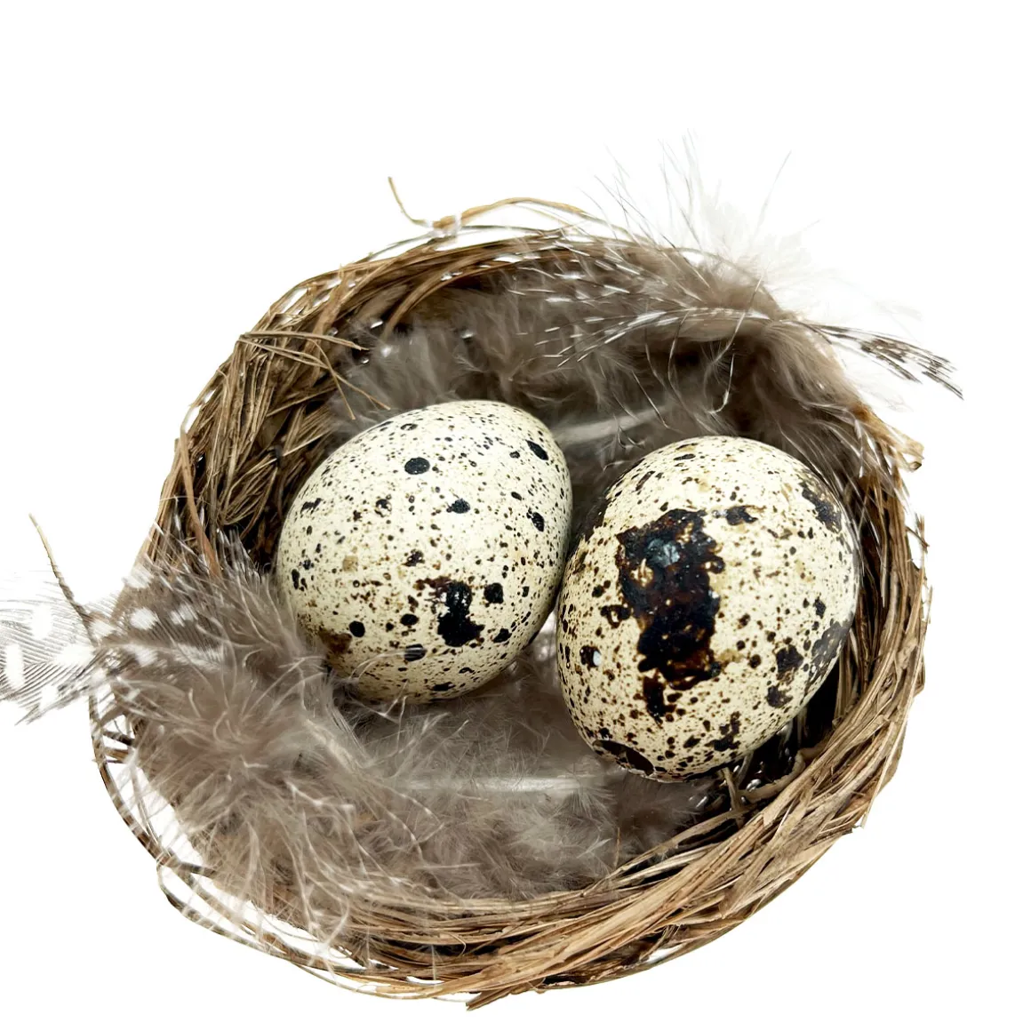 Deko Vogelnest Natur, kleines Weidennest mit Wachteleier und Federn, Ø6cm