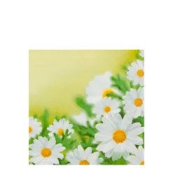 Home Fashion Papierservietten Wiesenblumen, weiße Margeriten, 25x25cm