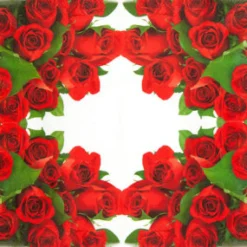 Home Fashion Papierservietten rote Rosen, 25x25cm