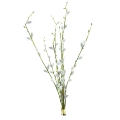 Kunstblume Palmkätzchen, Palmkätzchenzweige gebündelt, 54cm, Nova Nature