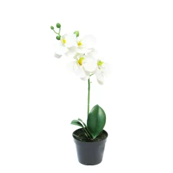 Kunstpflanze Orchidee im Topf, Schmetterlingsorchidee weiß, Phalaenopsis Bora, 35cm, getopft