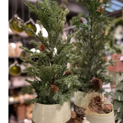 Kunstpflanze Tannenbaum, Tannenbaum mit Zapfen getopft, 35cm, DPI