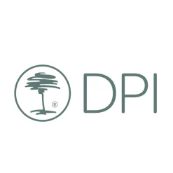 Kunstpflanze Tannenzweig, 2 Tannenzweige im Bund, 38cm, DPI