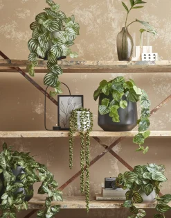 Kunstpflanze Perlenschnur, Erbsenpflanze grün, Senecio hängend, 71cm, Mica Decorations