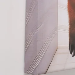 Leinwandbild lustiges Hochlandrind Lumpi beim Zeitungslesen, Stier auf Toilette, 50x70cm