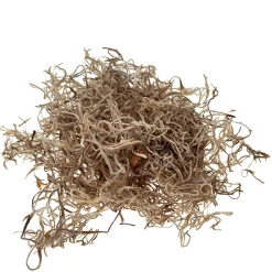 Natur Moos, Tillantia natur, 30g/Btl, DIJK Natural Collections