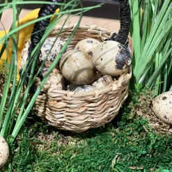 Natur Wachteleier, 30 St./Box