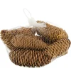 Naturdeko Tannenzapfen im Netz, 150gr, Naturzapfen