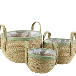 Pflanzkorb Seegras natur, Übertopf mit Henkel natur mit grünem Rand, 14cm, Naturkorb