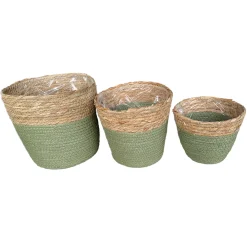 Pflanzkorb Seegras Natur, Übertopf gekordelt grün-natur, 22cm, Naturkorb