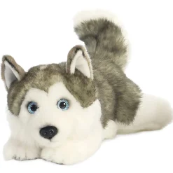 Plüsch Husky liegend, Miyoni Serie, 28cm, Aurora World