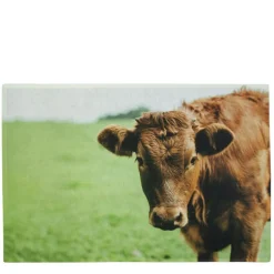 Textil Fußmatte Schweizer Kuh, Kuh auf Wiese, 75x50cm, Mars & More
