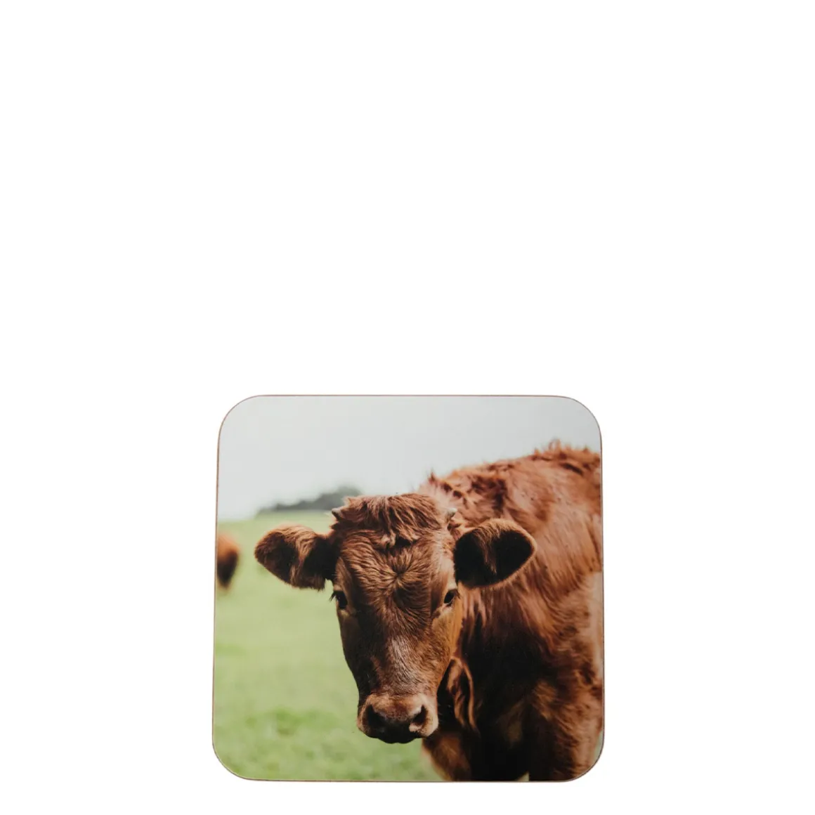 Untersetzer Schweizer Kuh, Kuh auf der Wiese, 10x10cm, Set/6, MDF/Kork, Mars & More
