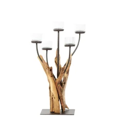 Windlicht Cohiba Naturholz, Schwemmholz mit 5 Kerzengläser, 60cm, Naturholz, WMG Grünberger