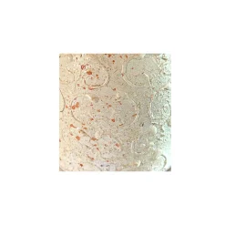 Zaunhocker Bauernhoftier Schaf used look, kleines Metallschaf creme, 18cm